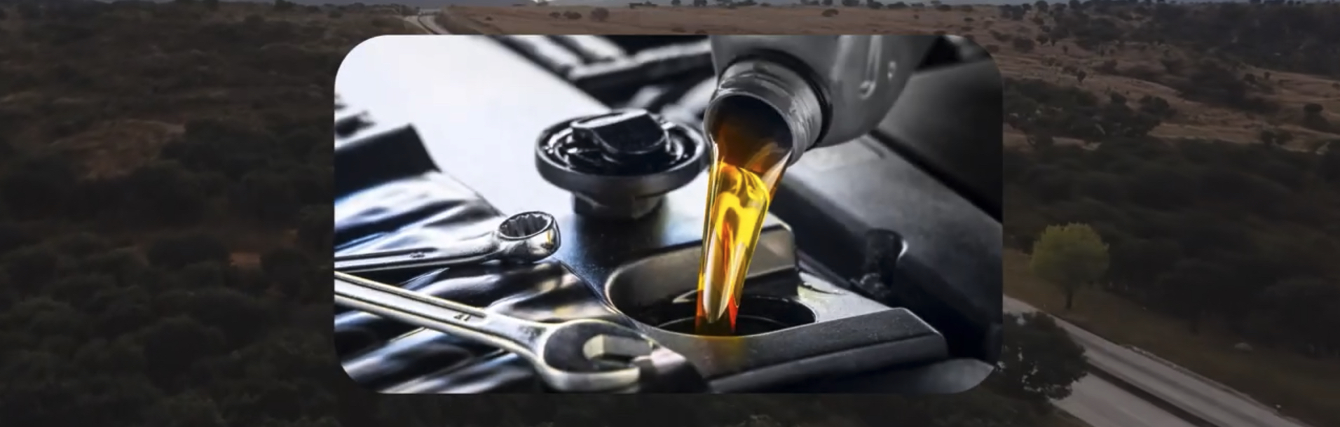 Car Fluid Maintenance Service in Temecula and Murrieta | Temecula Auto Repair & Transmission Engine Oil Fill into an engine.