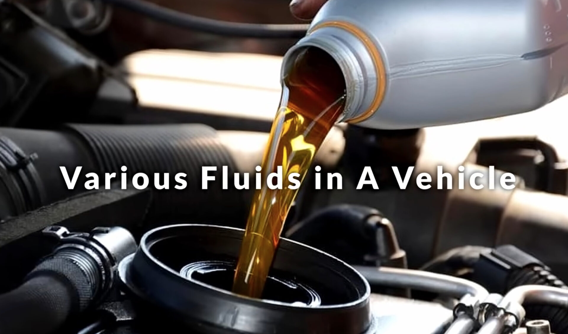 Illustration of Various Fluids in a Vehicle.