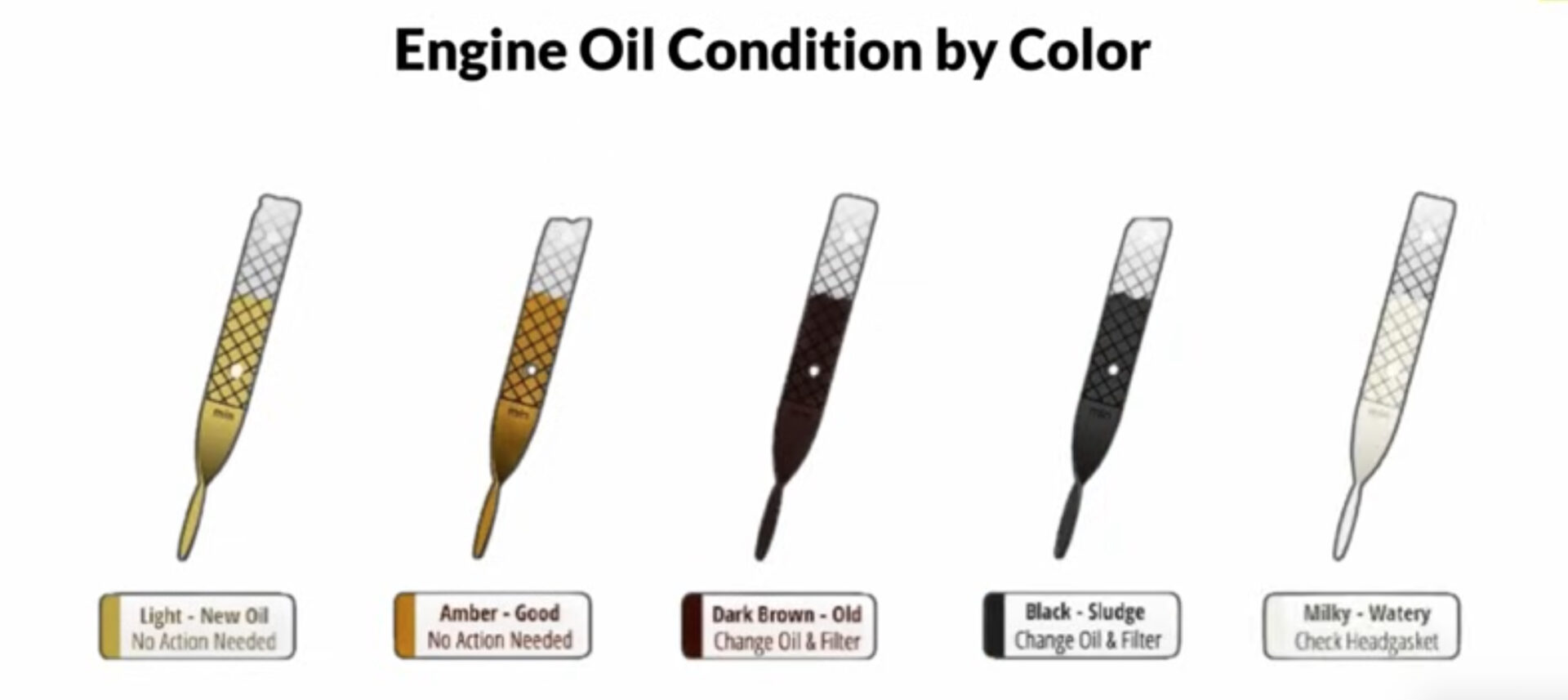 Engine Oil Condition | Temecula Auto Repair & Transmission An illustration of engine oil dipsticks, each with a different color to represent varying oil conditions.