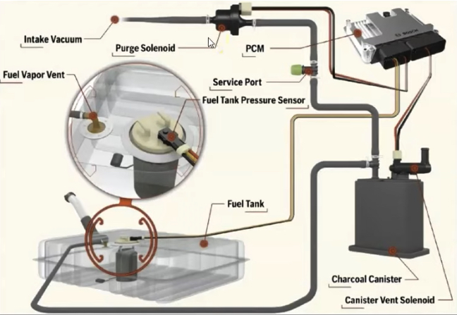 Fuel Evaporative EVAP System Schematic | Temecula Auto Repair & Transmission A Schematic Illustration of Fuel Evaporative EVAP System