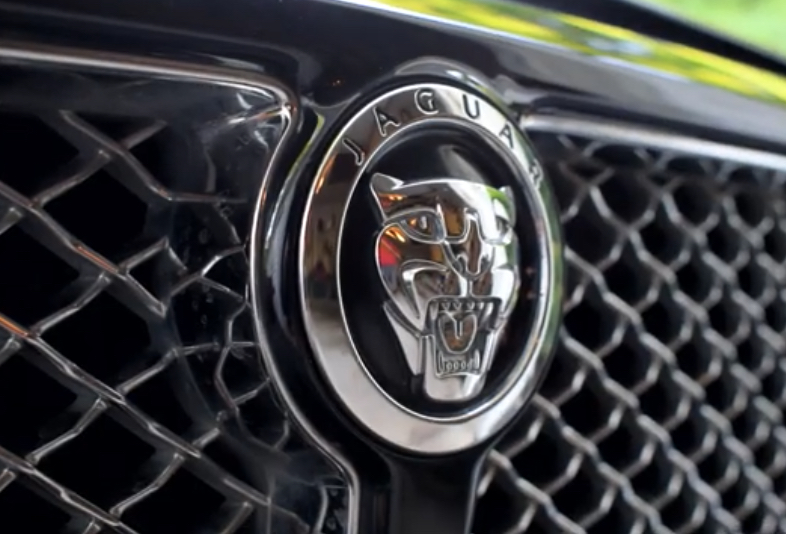 Jaguar XJ8 Grill with Jaguar Cat Emblem | Temecula Auto Repair & Transmission Jaguar XJ8 Grill with Jaguar Cat Emblem